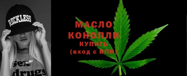 ECSTASY Богородицк